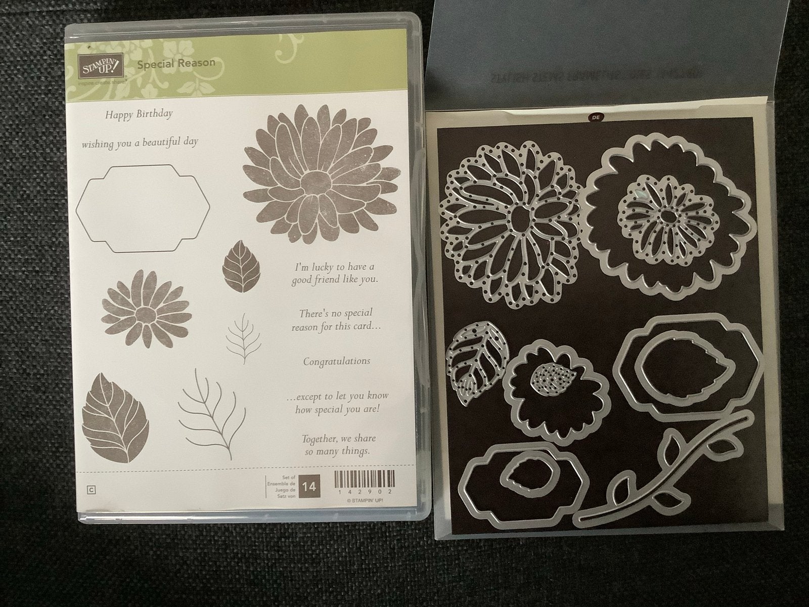 Stampin' Up! Special Reason Stempelset en Dies, Ophalen of Verzenden, Zo goed als nieuw, Natuur, Pons of Mal