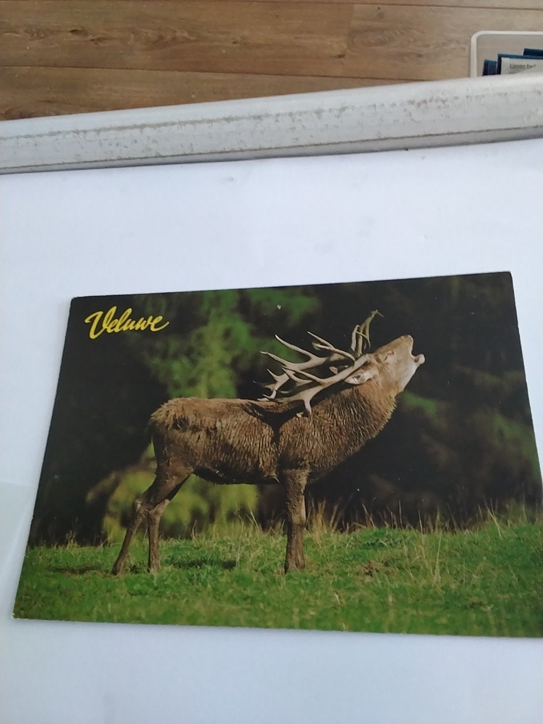 GROETEN VAN DE VELUWE.    EDELHERT. 1992, Ophalen of Verzenden, 1980 tot heden, Gelderland