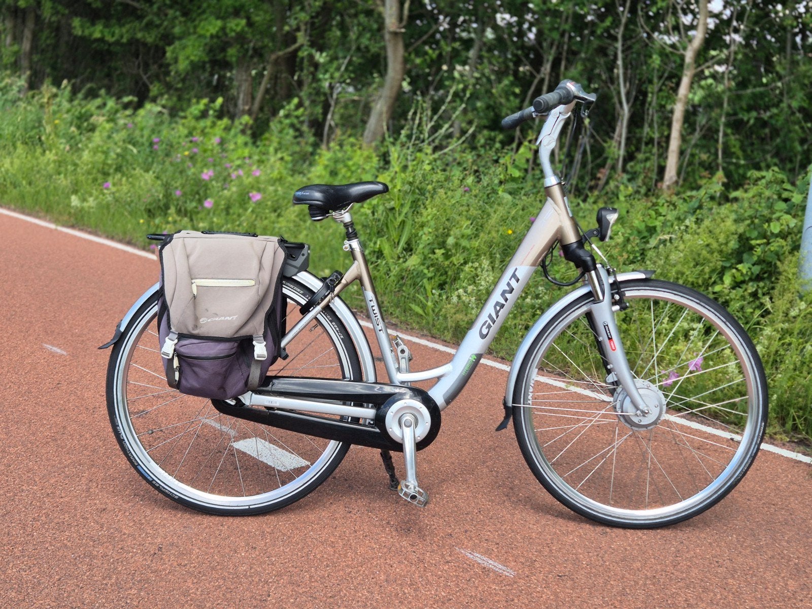 Giant twist elektrische fiets, Ophalen of Verzenden, Gebruikt, Overige merken