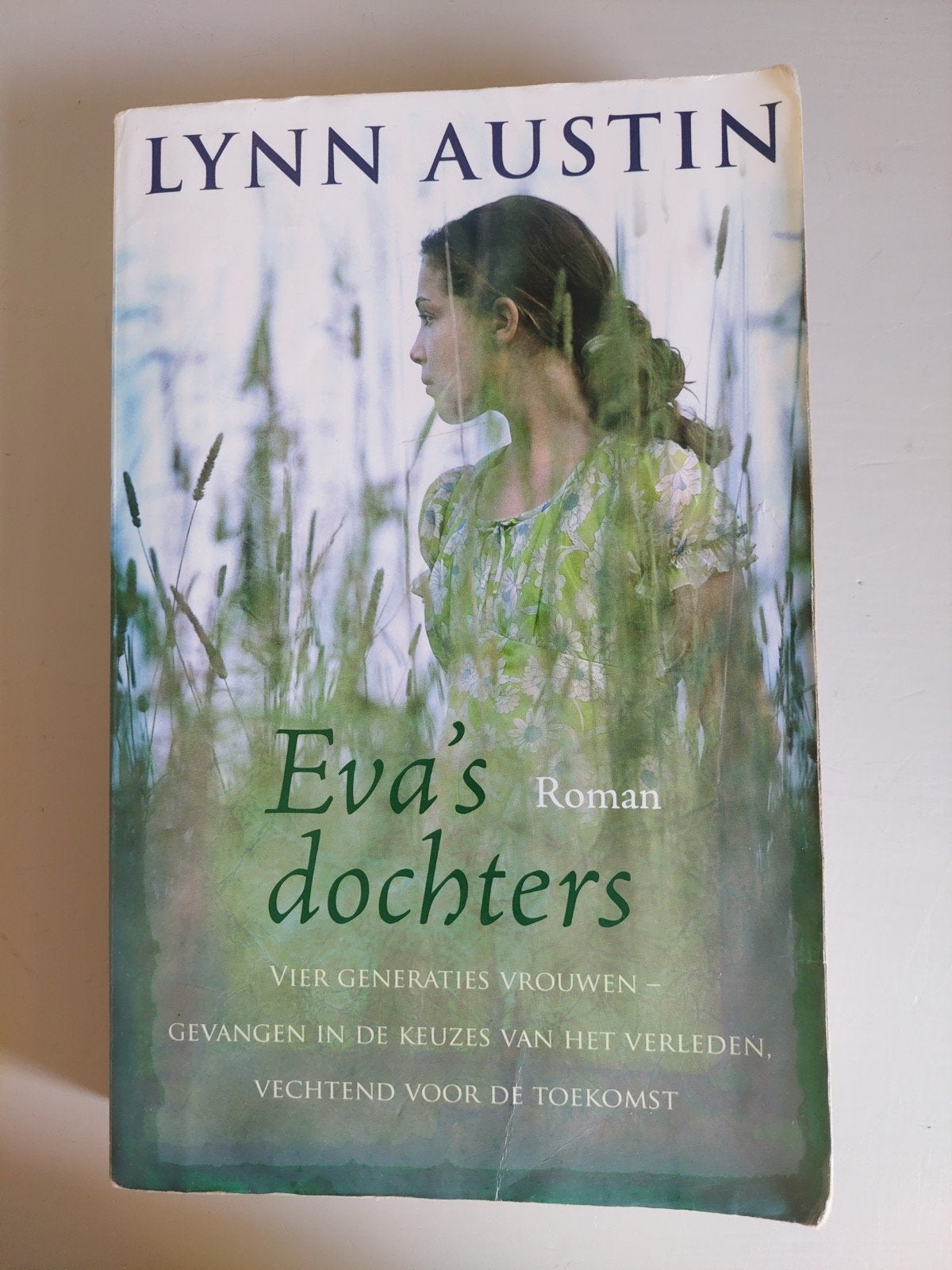 Eva's dochters - Lynn Austin (Roman), Boeken, Ophalen of Verzenden, Gelezen, Lynn Austin, Nederland