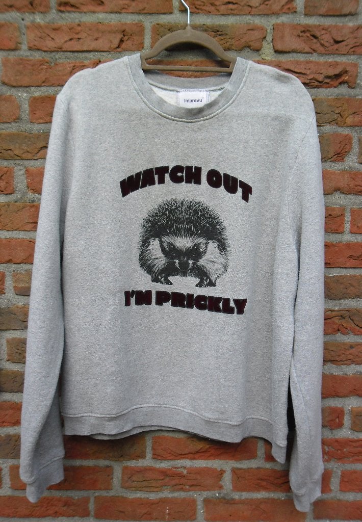 Imprevu nieuwe sweater grijs met gave fluwelen print maat L, Maat 42/44 (L), Nieuw, Ophalen of Verzenden, Grijs