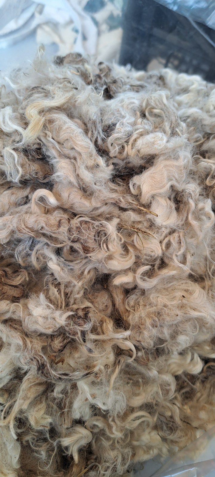 Mohair Angora Wol - Ruwe Vacht voor Spinnen/Vilten 2.13 kg, Wol, 120 cm of meer, Ophalen of Verzenden, Nieuw