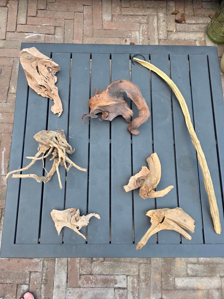 Kienhout aquarium, Ophalen, Gebruikt, Plant(en), Steen of Hout