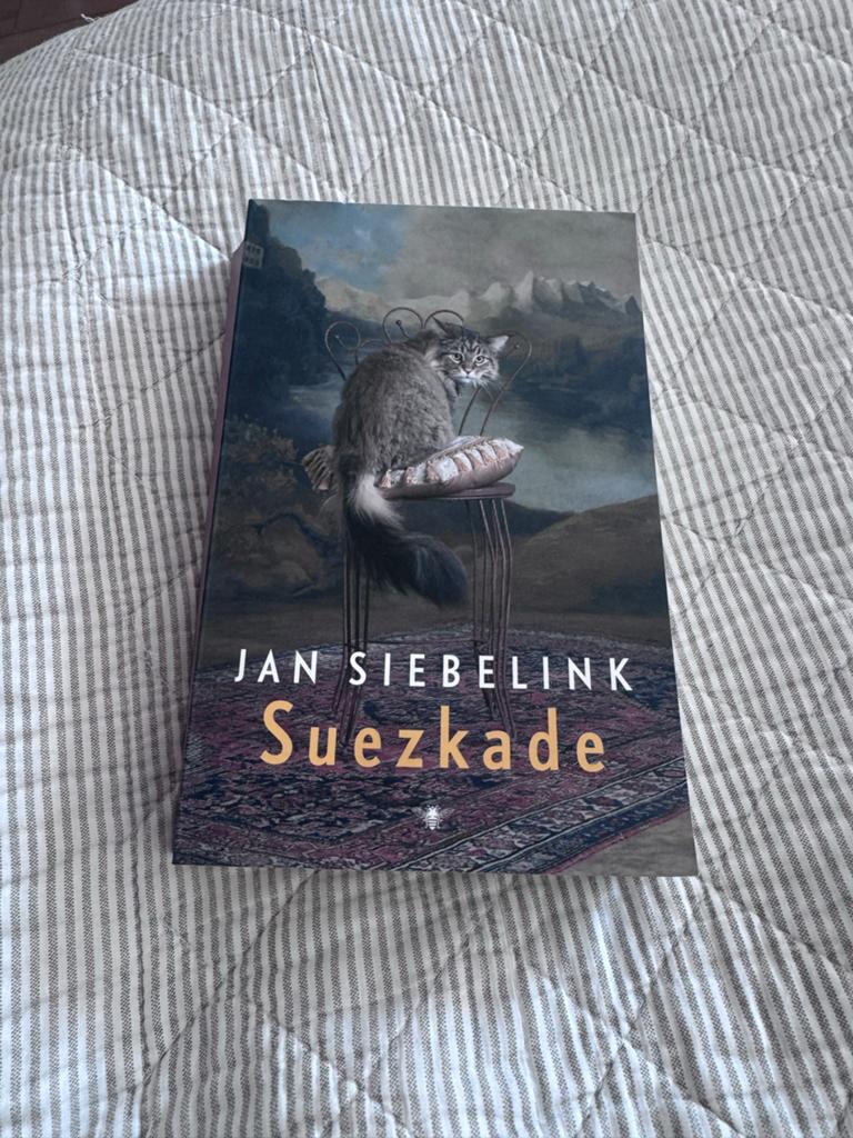 Suezkaade - Jan Siebelink (Roman), Ophalen of Verzenden, Zo goed als nieuw, Nederland