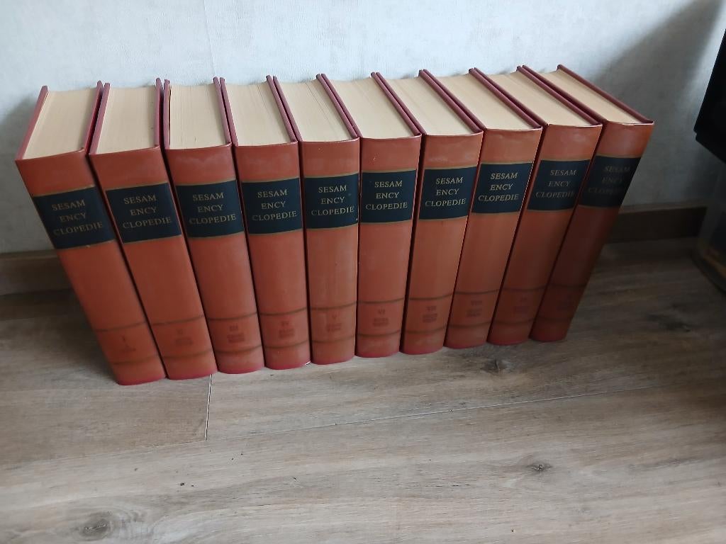 Sesam Encyclopedie - 10 delig, Boeken, Encyclopedieën, Ophalen, Complete serie, Zo goed als nieuw, Algemeen