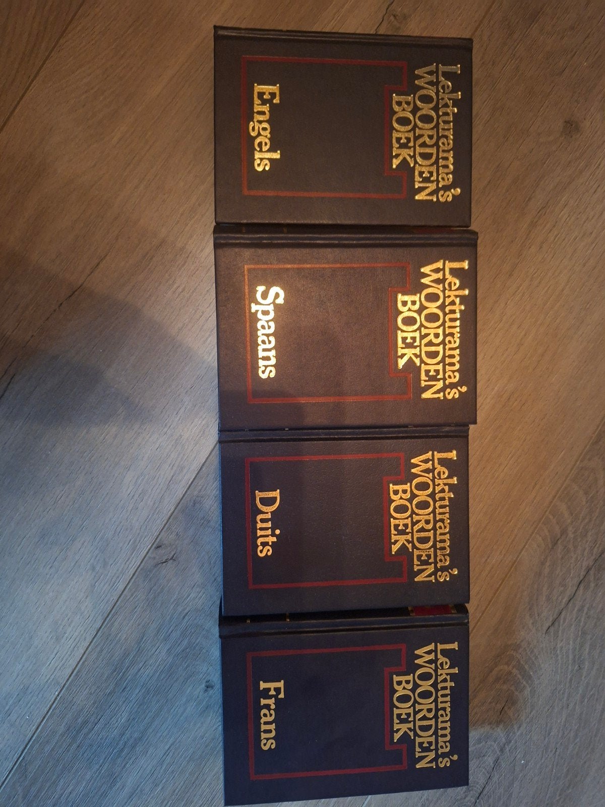 Lekturama's Woordenboeken Set: Engels, Spaans, Duits, Frans, Boeken, Ophalen of Verzenden, Zo goed als nieuw