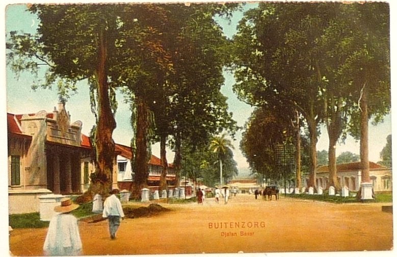 Ansichtkaart van Buitenzorg Djalan Besar, 1952, Middelstum., Verzamelen, Ophalen of Verzenden, 1940 tot 1960, Gelopen