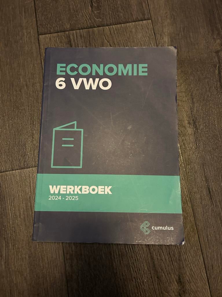 Cumulus Economie 6 VWO Werkboek 2024-2025, Boeken, Ophalen of Verzenden, Gamma, Gelezen, Overige niveaus