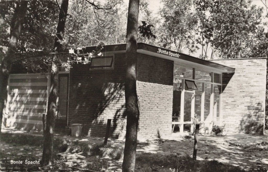 Appelscha Hildenberg Zomerhuisje Bonte Specht L2871, Ophalen, 1960 tot 1980, Ongelopen, Friesland