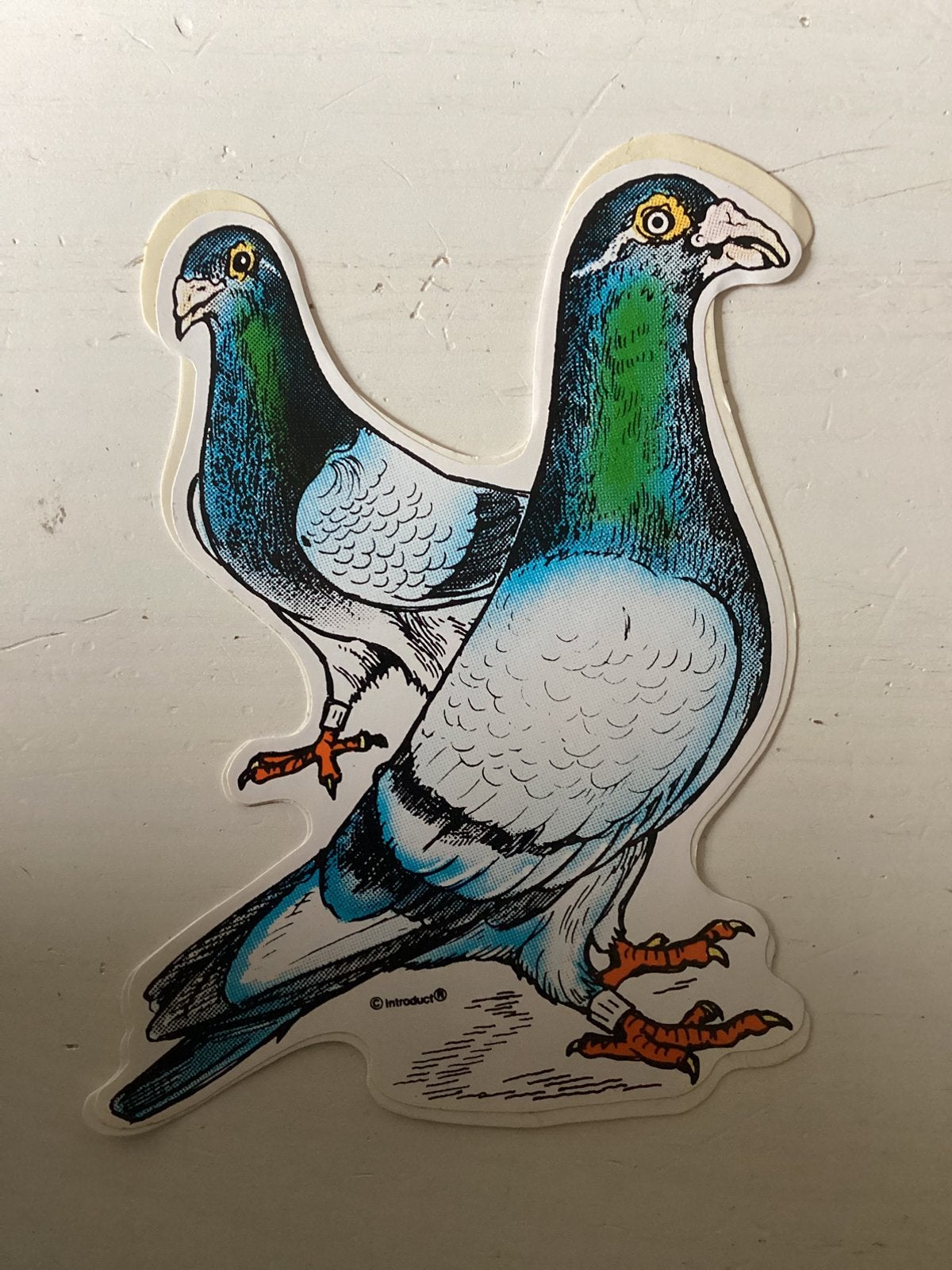 Sticker Postduiven/duiven, Verzenden, Zo goed als nieuw, Dier en Natuur