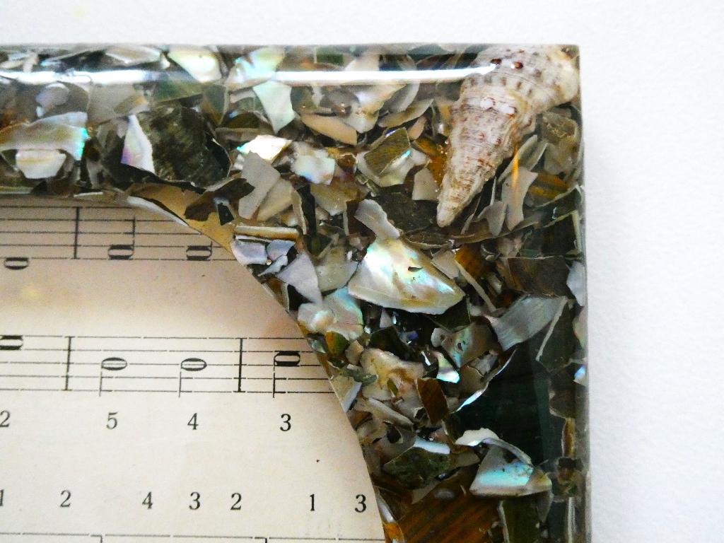 Een fotolijst met schelpen ingesloten in kunsthars lijst, Ophalen of Verzenden