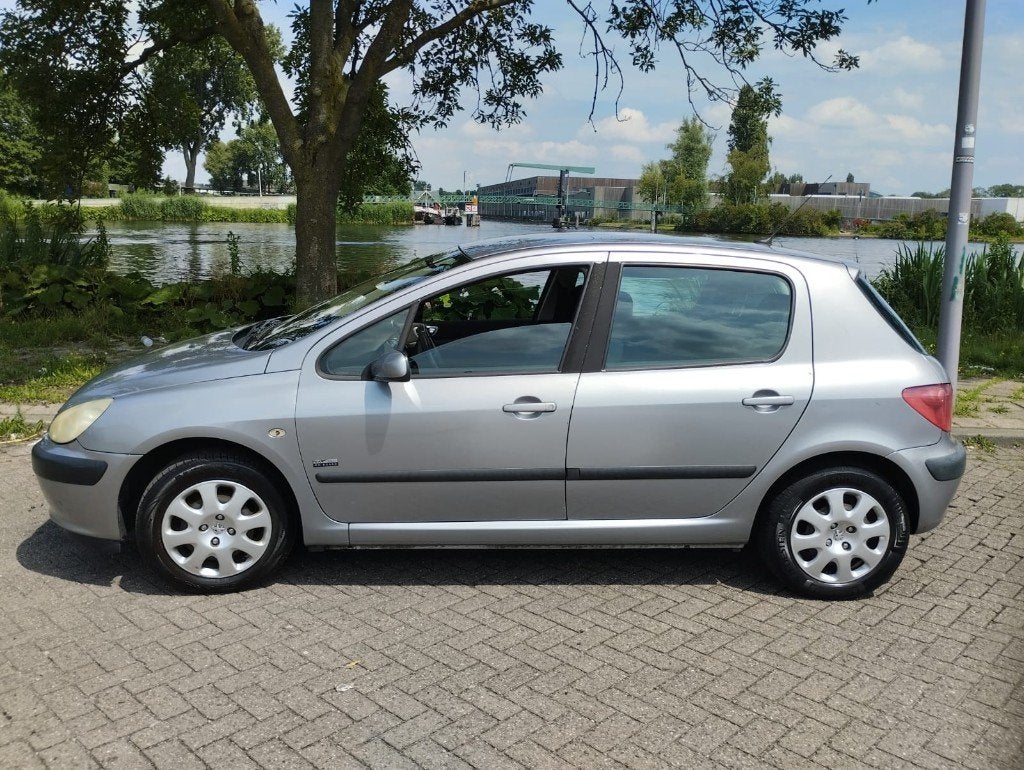 Peugeot 307 1.6 16V XR 5DR 2004 Grijs, Auto's, Peugeot, Particulier, Centrale vergrendeling, Cruise Control, Benzine, C, Hatchback