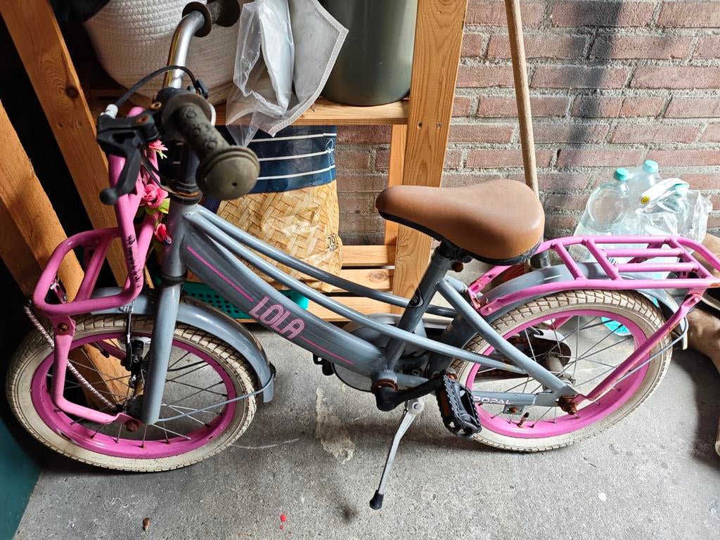 Kinderfiets, Ophalen of Verzenden, Gebruikt, 16 inch