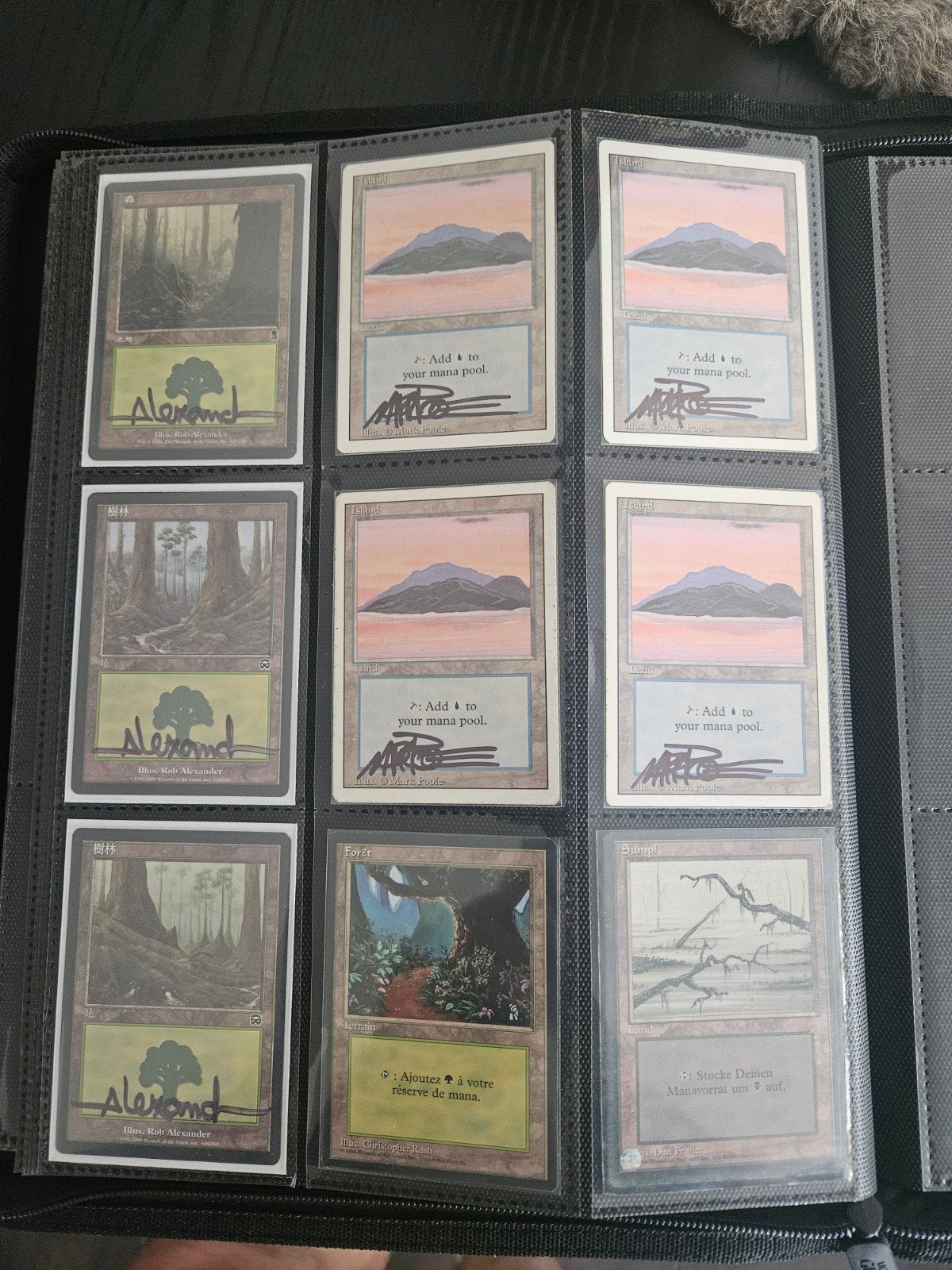Vintage / Signed land MTG, Ophalen of Verzenden, Zo goed als nieuw, Meerdere kaarten