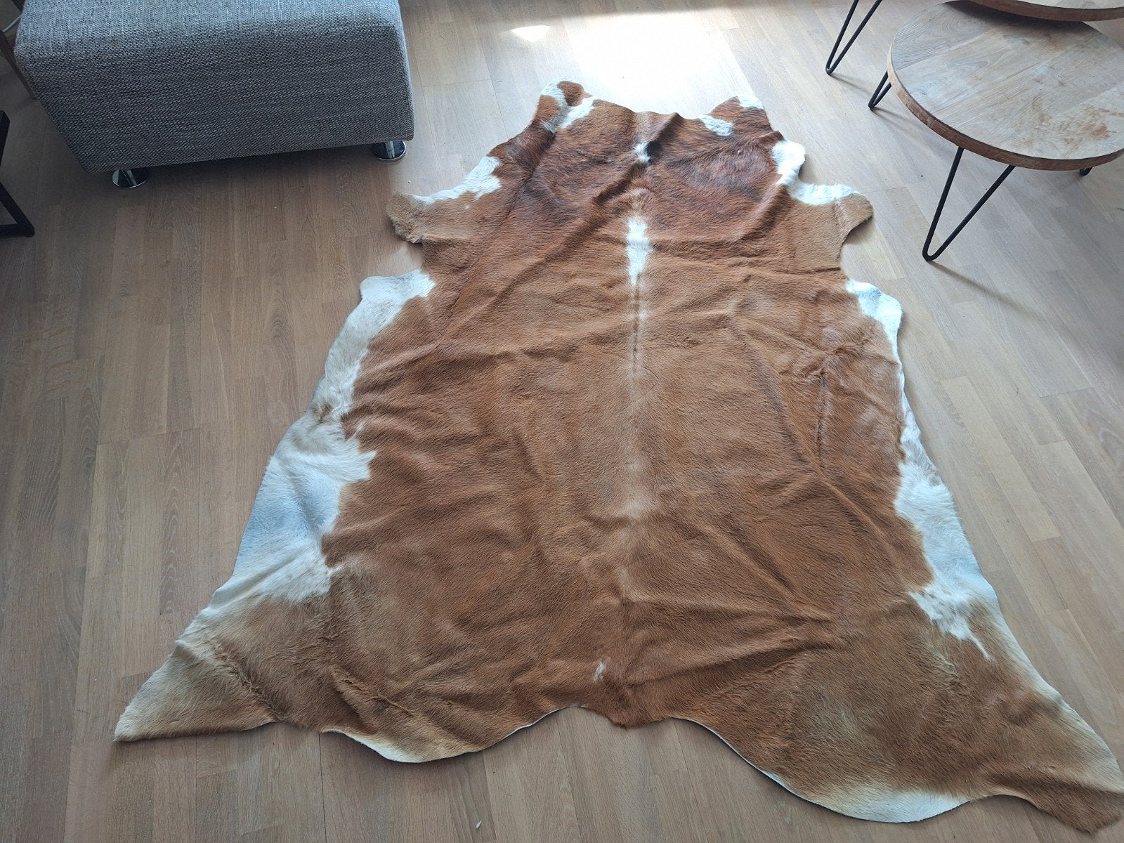 koeien vloerkleed 200x 150 cm, Ophalen