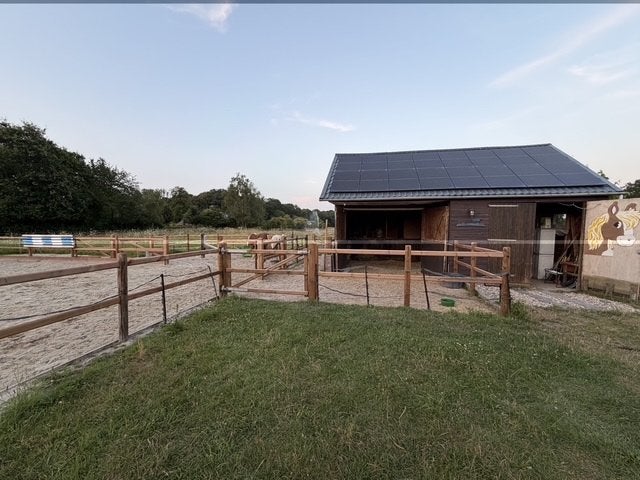 Stal en weide aangeboden voor pony, Weidegang, 1 paard of pony