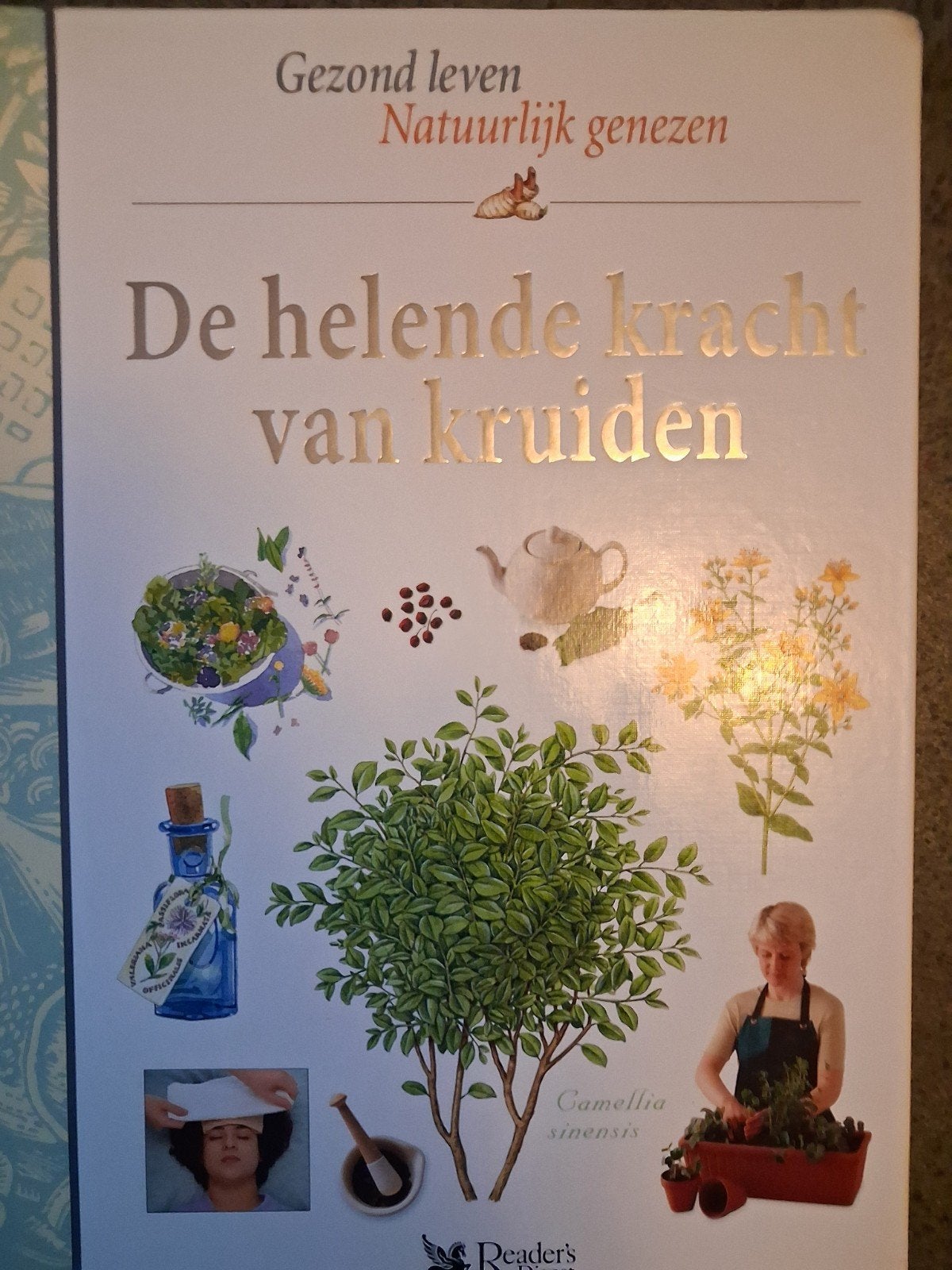 De helende kracht van kruiden., Boeken, Spiritualiteit algemeen, Reader's Digest, Ophalen of Verzenden, Zo goed als nieuw