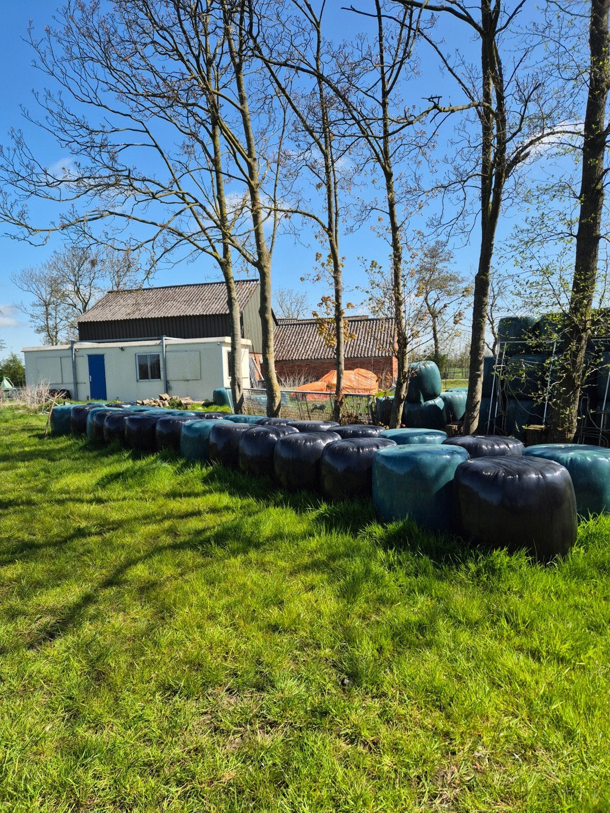 28 midibalen tussen hooi en kuil in, Dieren en Toebehoren, Dierenvoeding, Ophalen, Vee