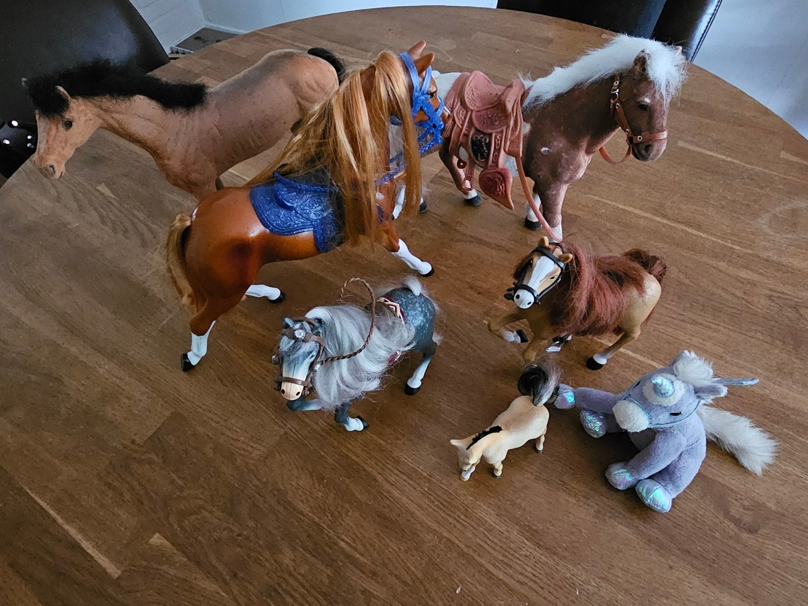 Paarden, Ophalen, Jongen of Meisje