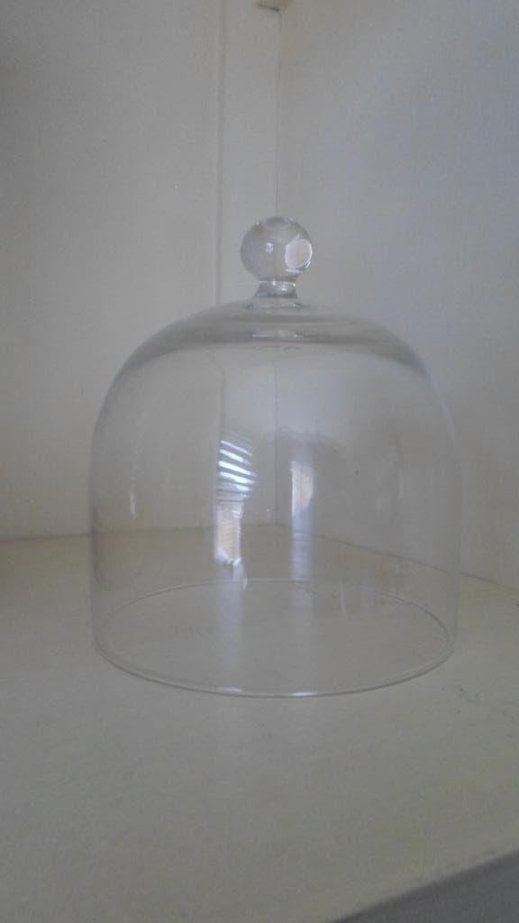 Kleine glazen stolp, Ophalen of Verzenden, Gebruikt
