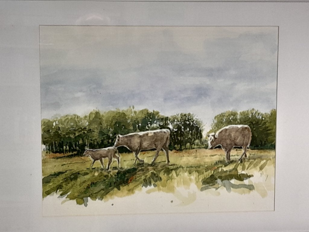 Runderen in het bos 50x70 cm met lijst  Acryl, Ophalen