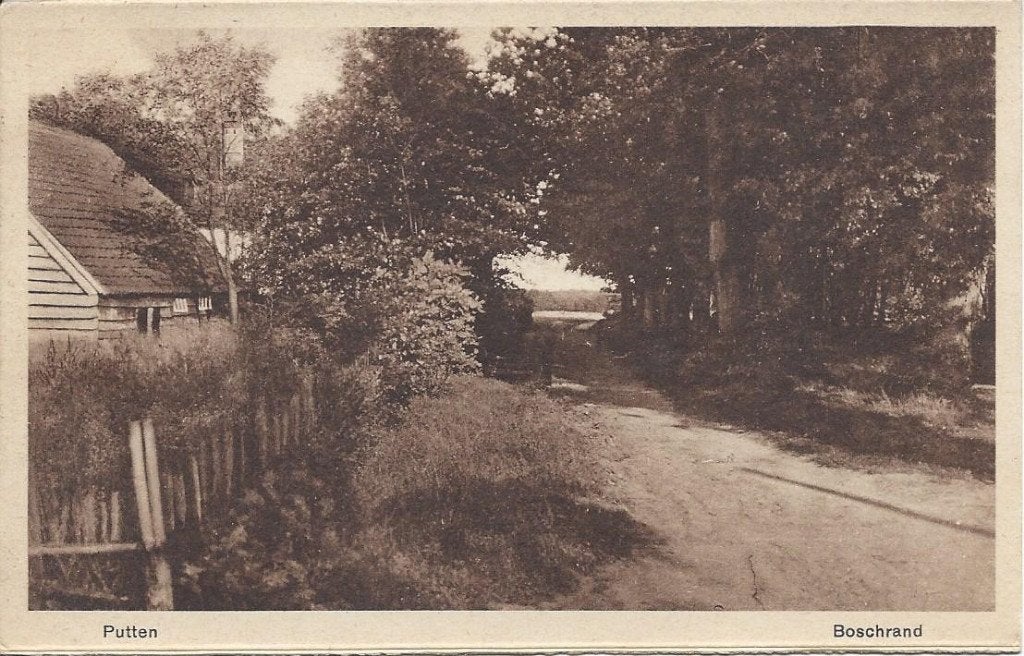 Putten (Gld.) Boschrand, gelopen 1934, Ophalen of Verzenden, 1920 tot 1940, Gelopen, Gelderland