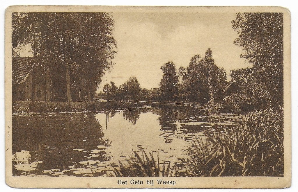 Weesp Het Gein Ansichtkaart uit 1929 ( B8125), Ophalen of Verzenden, 1920 tot 1940, Gelopen