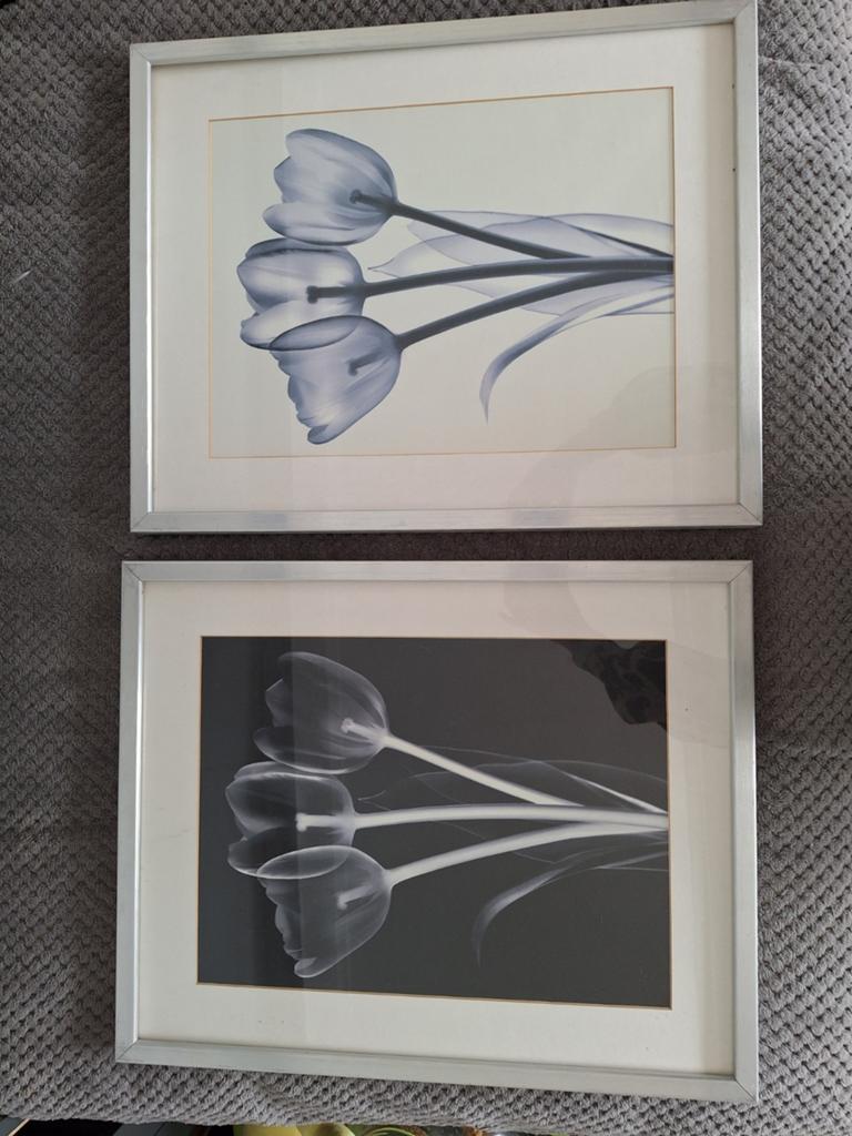 2 mooie schilderijen met zilveren lijst, Huis en Inrichting, Woonaccessoires | Schilderijen, Tekeningen en Foto's, Ophalen, Minder dan 50 cm