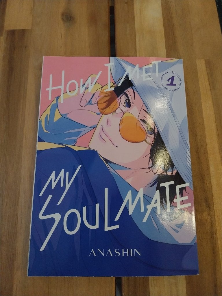 How i met my soulmate 1, Ophalen of Verzenden, Zo goed als nieuw, Anashin