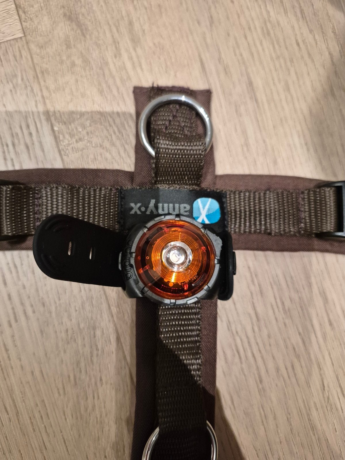 Anny x tuigje, Ophalen of Verzenden, Nieuw