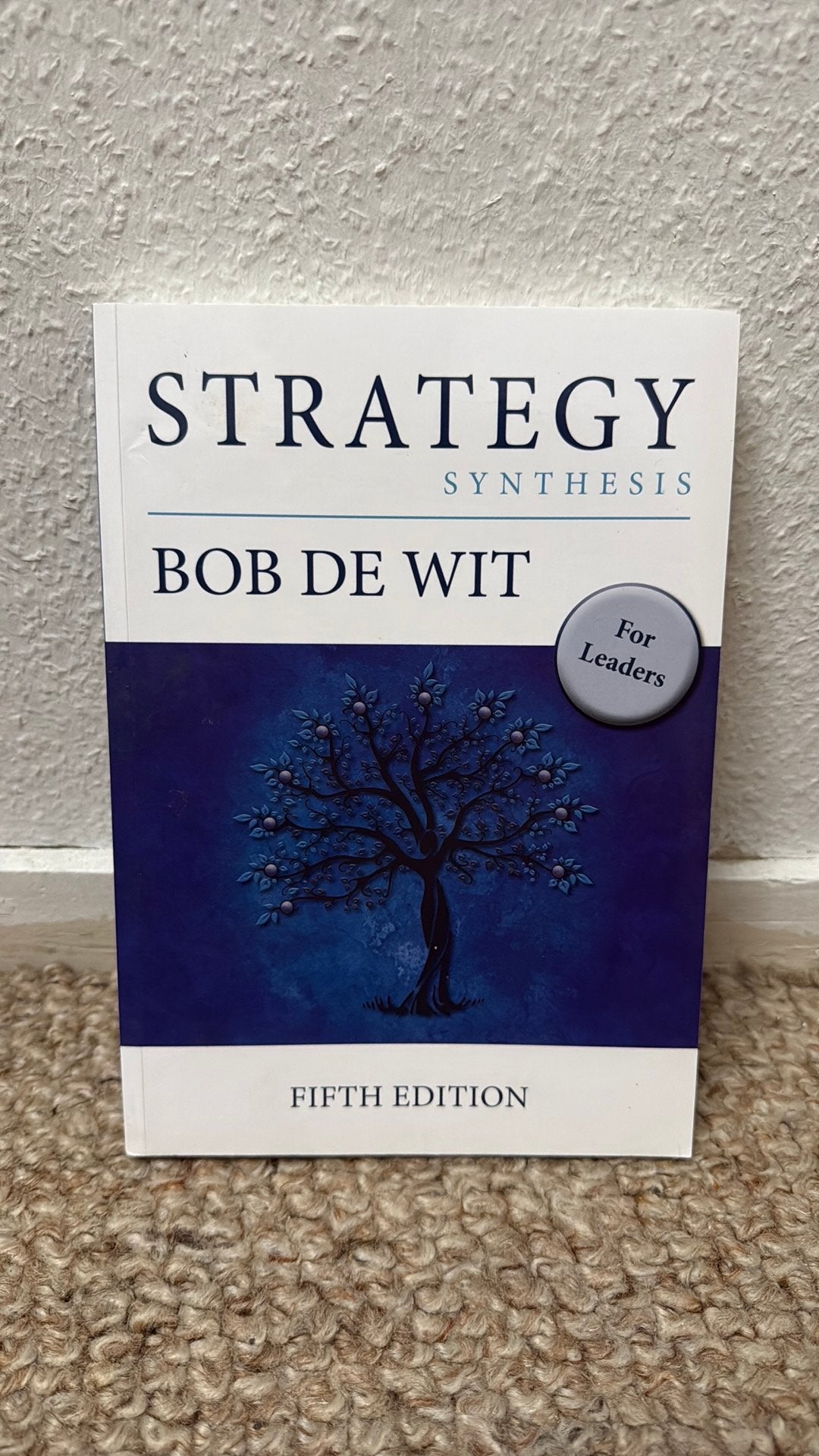 Strategy Synthesis - Bob de Wit (Fifth Edition), Ophalen of Verzenden, Gamma, Zo goed als nieuw, HBO