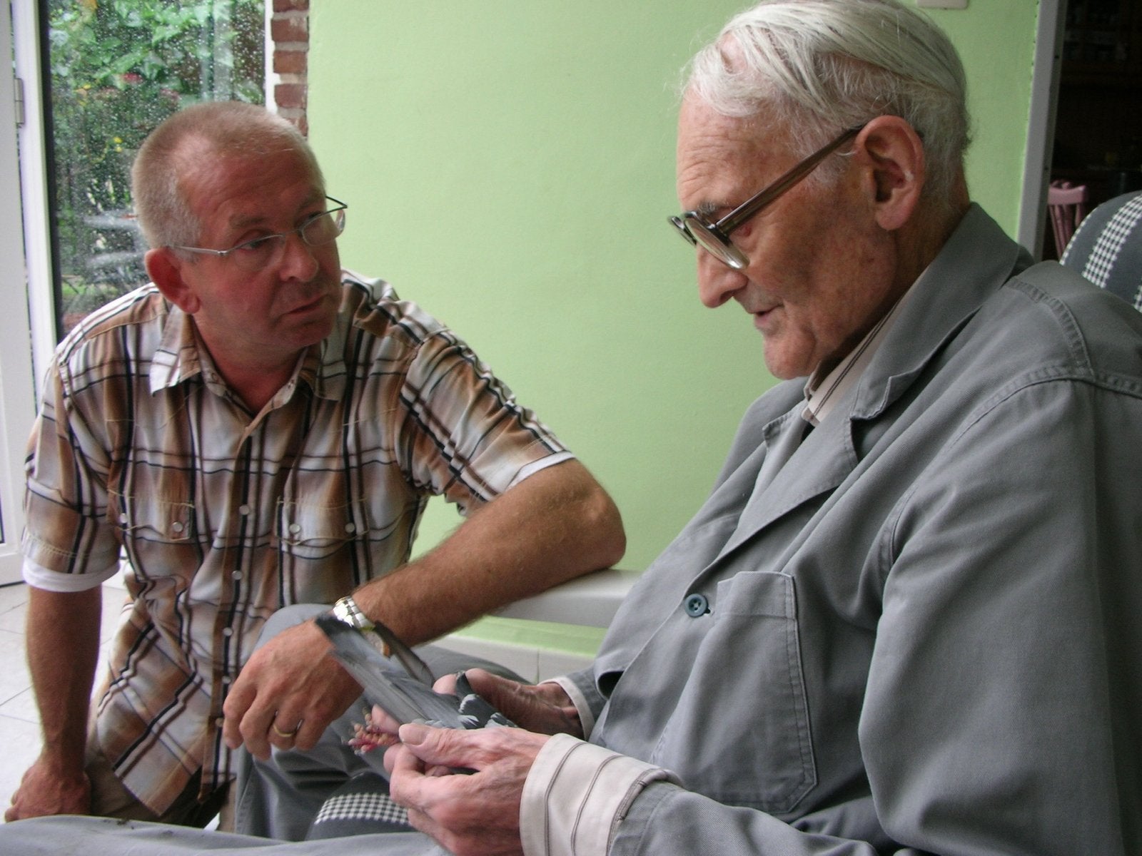 Louis van Loon duiven., Dieren en Toebehoren, Meerdere dieren, Postduif