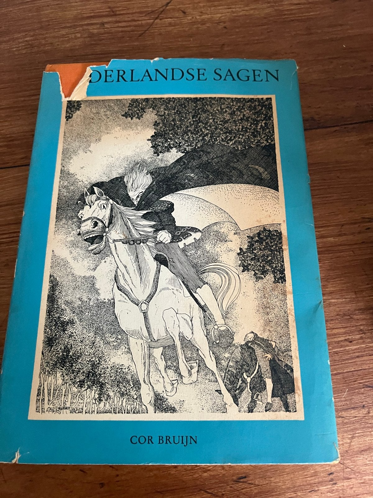 Nederlandse Sagen - Cor Bruijn (Vintage Boek), Ophalen of Verzenden, Gelezen