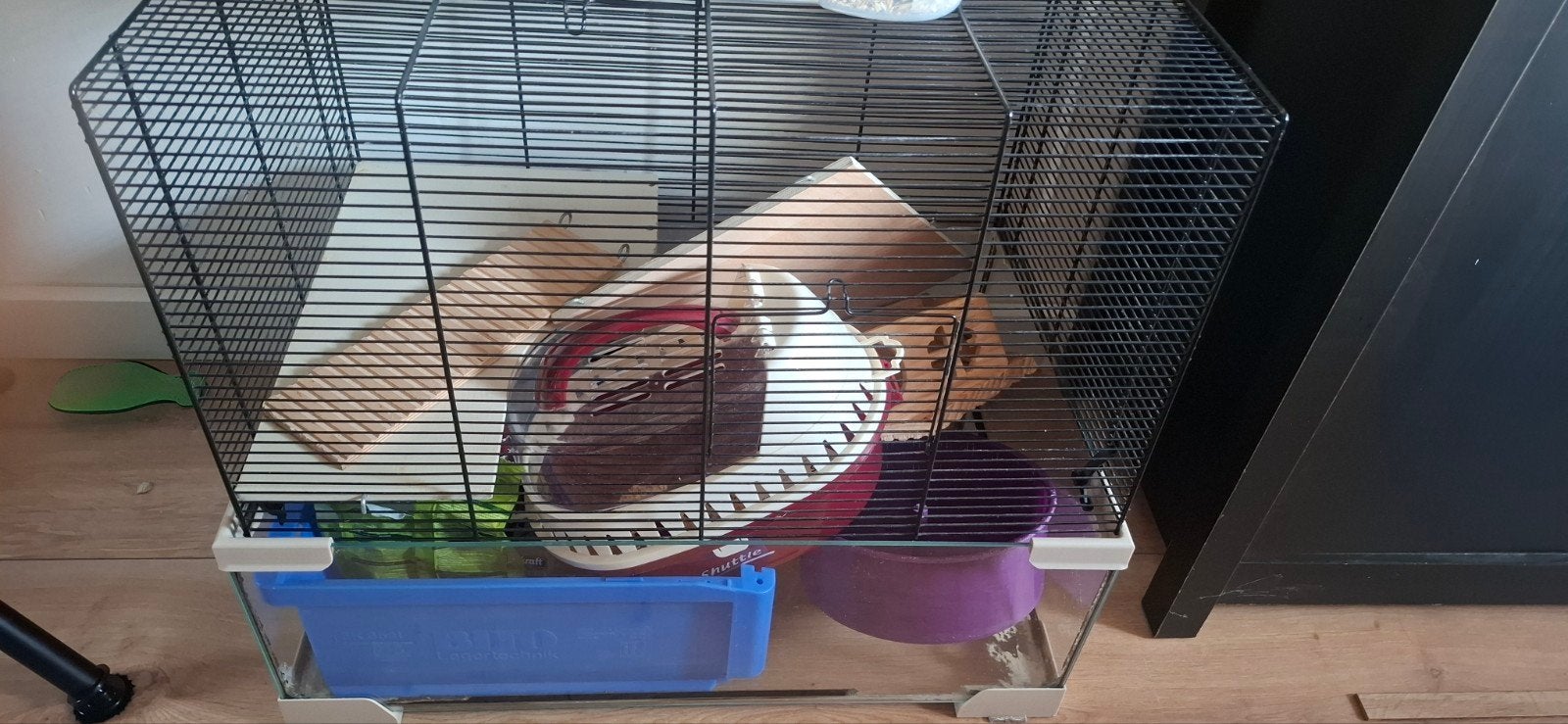 hamsterkooi met veel accessoires, Dieren en Toebehoren, Kooi, Minder dan 75 cm, Zo goed als nieuw, Hamster