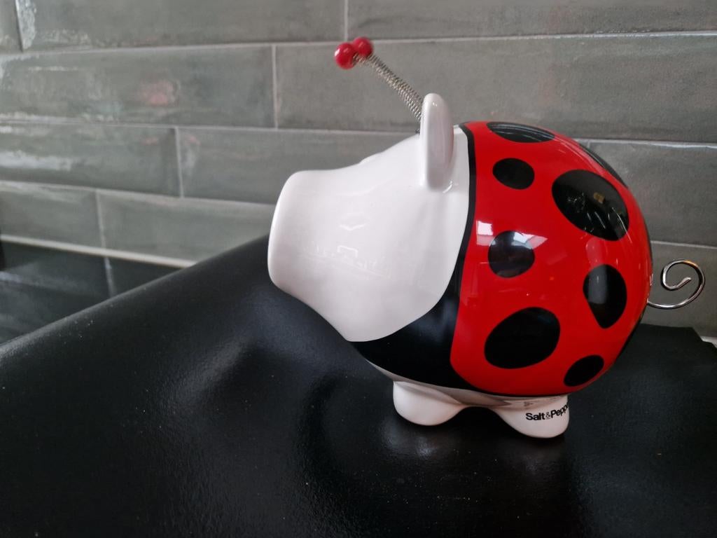 Spaarpot Lieveheersbeestje van Salt&Pepper, Verzamelen, Spaarpotten, Ophalen of Verzenden, Gebruikt