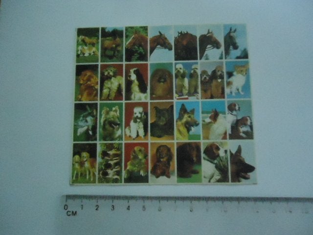 sticker oud Beloning jaren 70 school vintage dieren vel retr, Verzenden, Zo goed als nieuw, Bedrijf of Vereniging