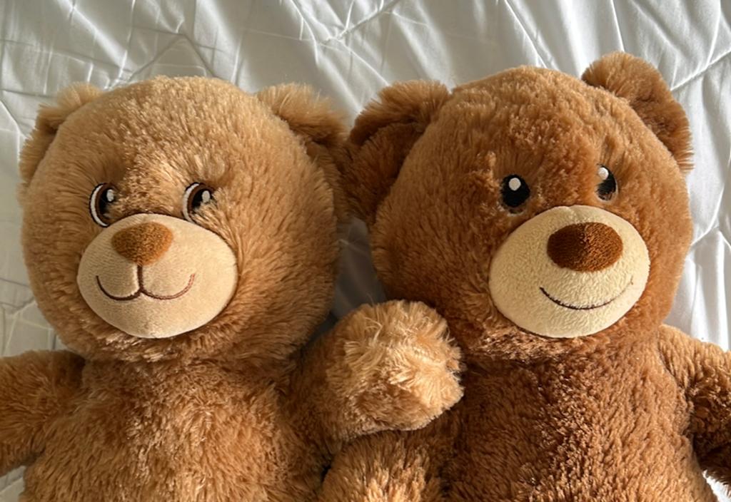 2 Build-A-Bear knuffels - Bruine beren, Beer, Ophalen of Verzenden, Zo goed als nieuw, Middelgroot (20 tot 80 cm)