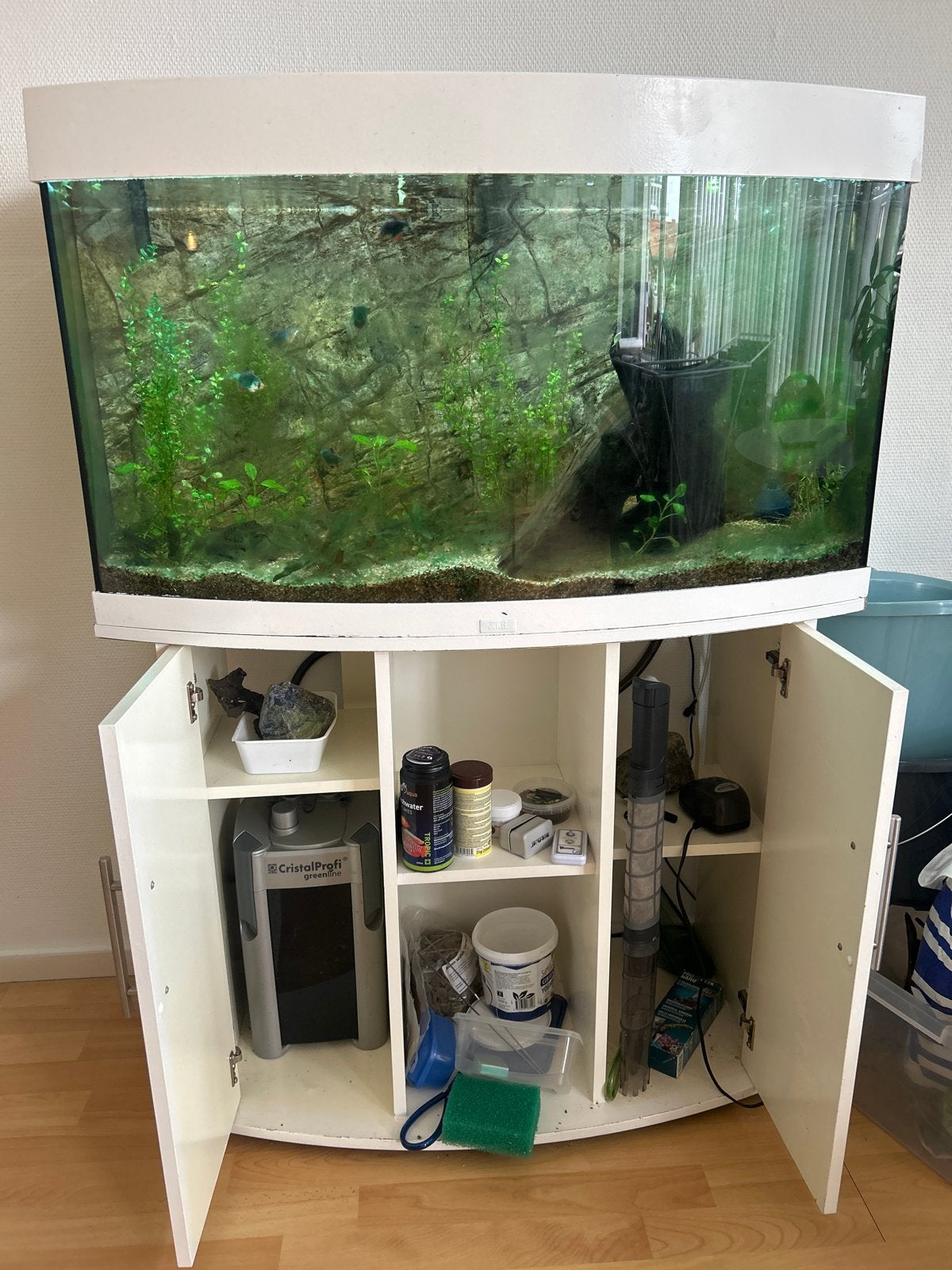 Juwel vision 180 aquarium, Ophalen, Zo goed als nieuw, Gevuld zoetwateraquarium