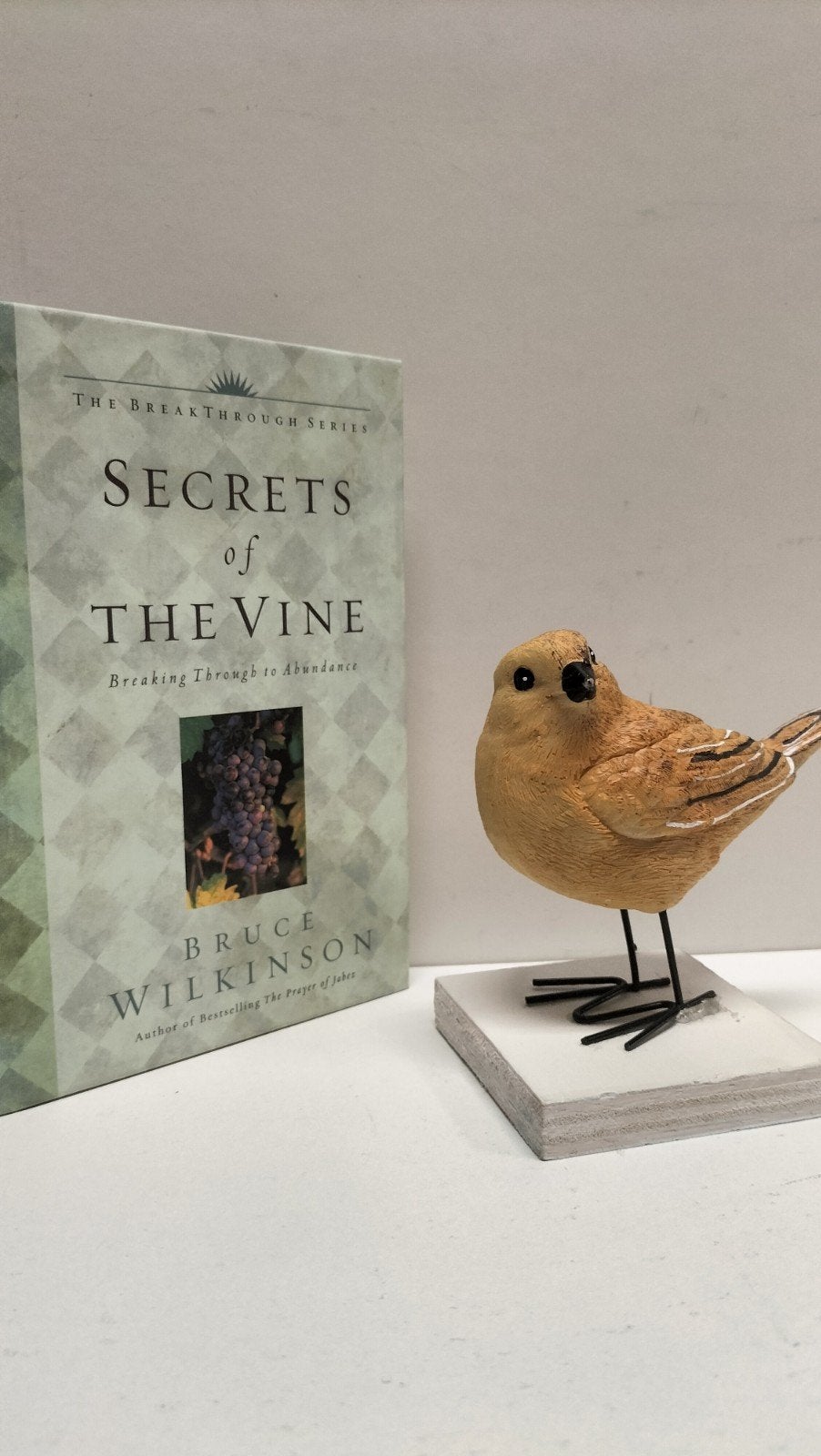 Wilkinson, Bruce; Secrets of the vine, Ophalen of Verzenden, Gelezen, Christendom | Protestants