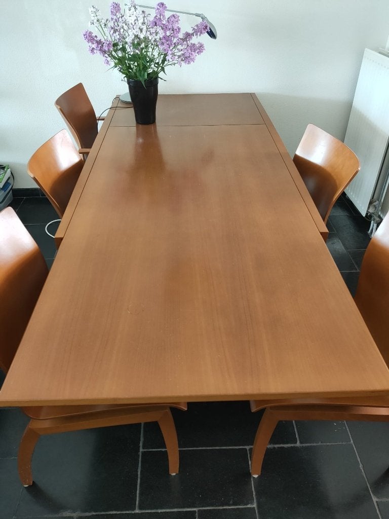 Eetkamerset Leolux, Huis en Inrichting, Ophalen, Gebruikt, Design, 4 tot 6 stoelen