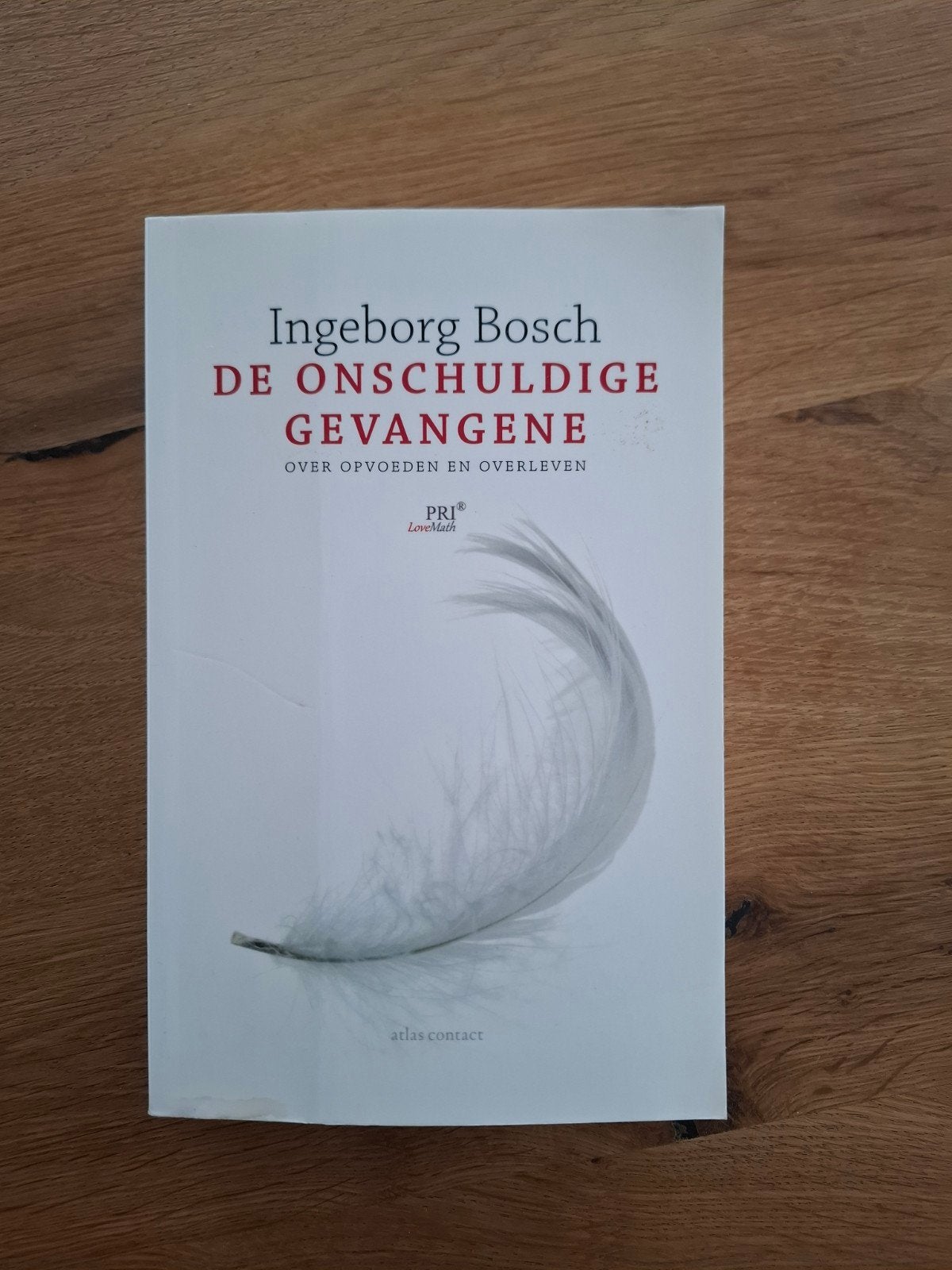 De Onschuldige Gevangene - Ingeborg Bosch, Ophalen of Verzenden, Zo goed als nieuw, Ingeborg Bosch, Overige