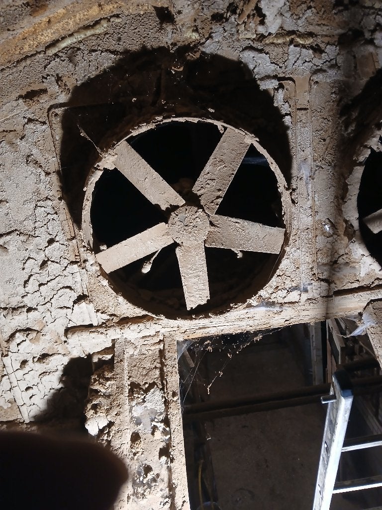 ventilator, Mannelijk, Varken, 6 jaar of ouder