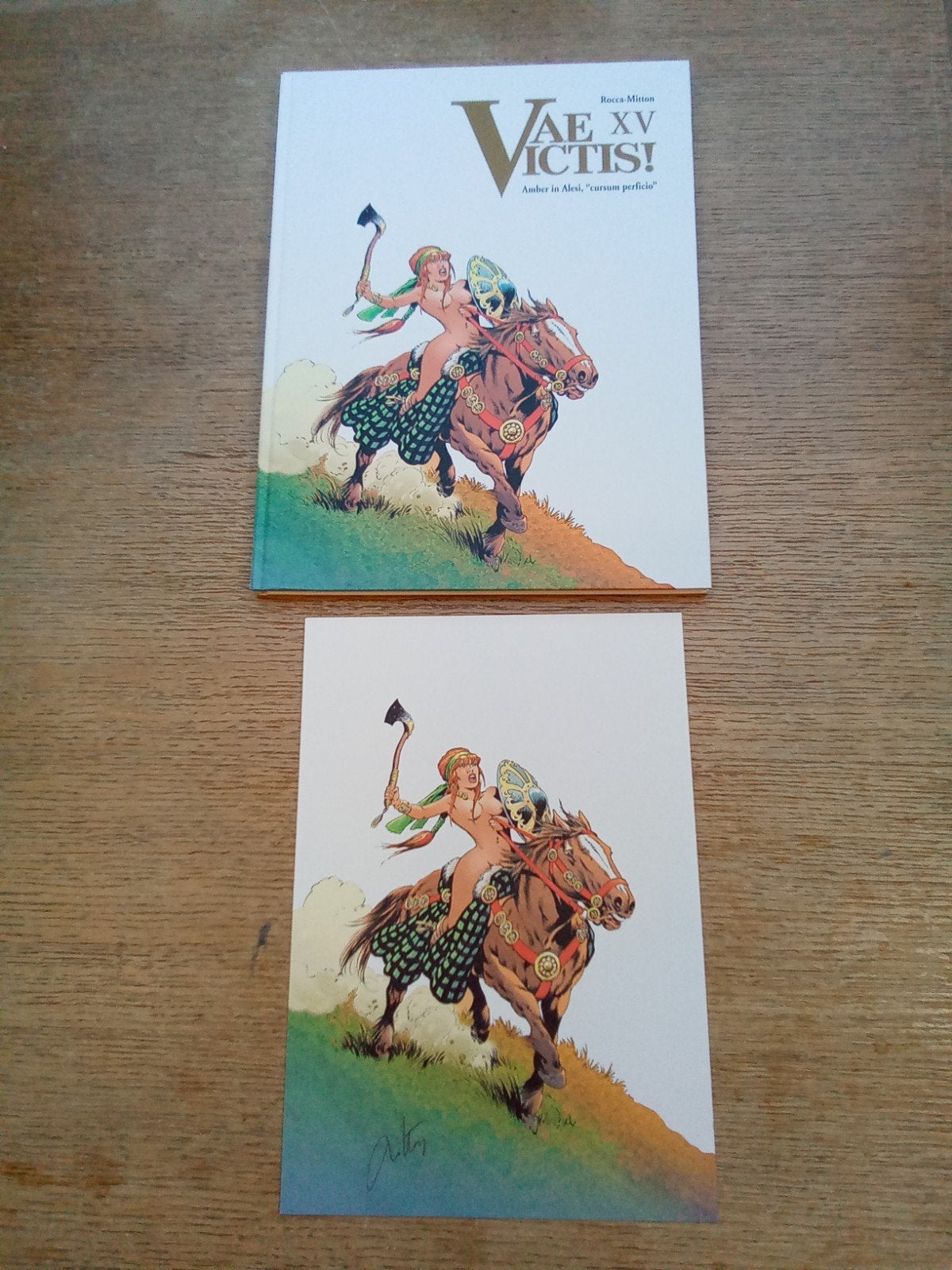 Vae Victis! 15 Amber in Alesi, HC oplage 300, Eén stripboek, Ophalen of Verzenden, Zo goed als nieuw