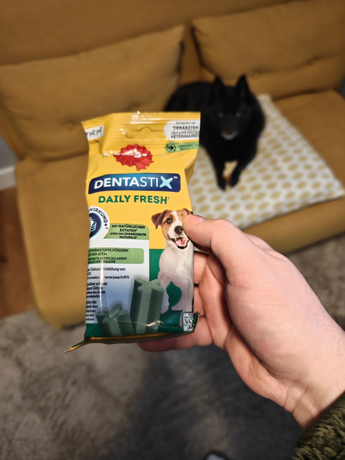 Dentastix Daily Fresh, Ophalen of Verzenden, Hond