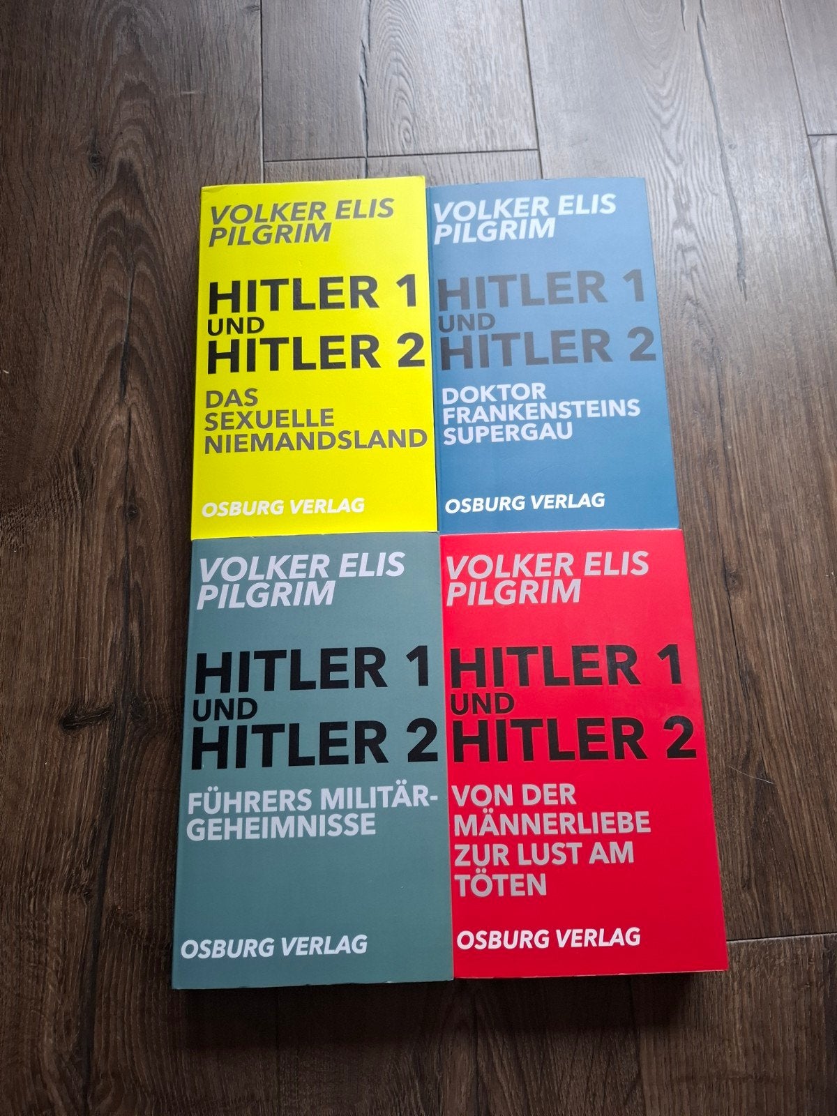 Boekenserie "Hitler 1 und Hitler 2" van Volker Elis Pilgrim, Boeken, Ophalen of Verzenden, Gelezen, Economie en Marketing, Volker Elis Pilgrim