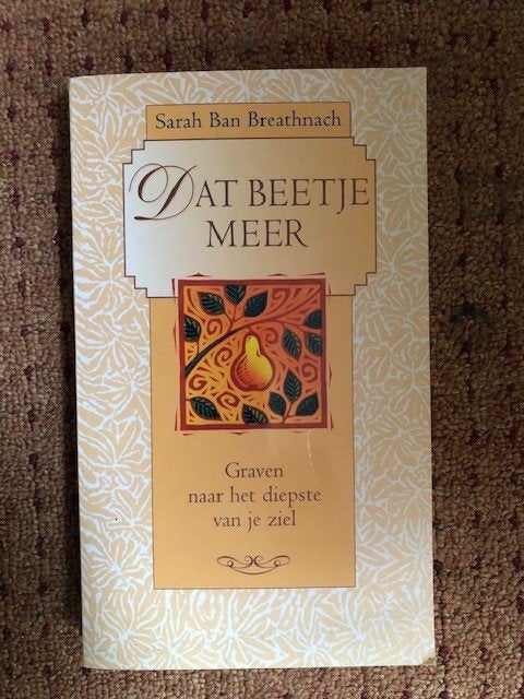 Sarah Ban Breathnach - Dat beetje meer, Spiritualiteit algemeen, Overige typen, Ophalen of Verzenden, Zo goed als nieuw