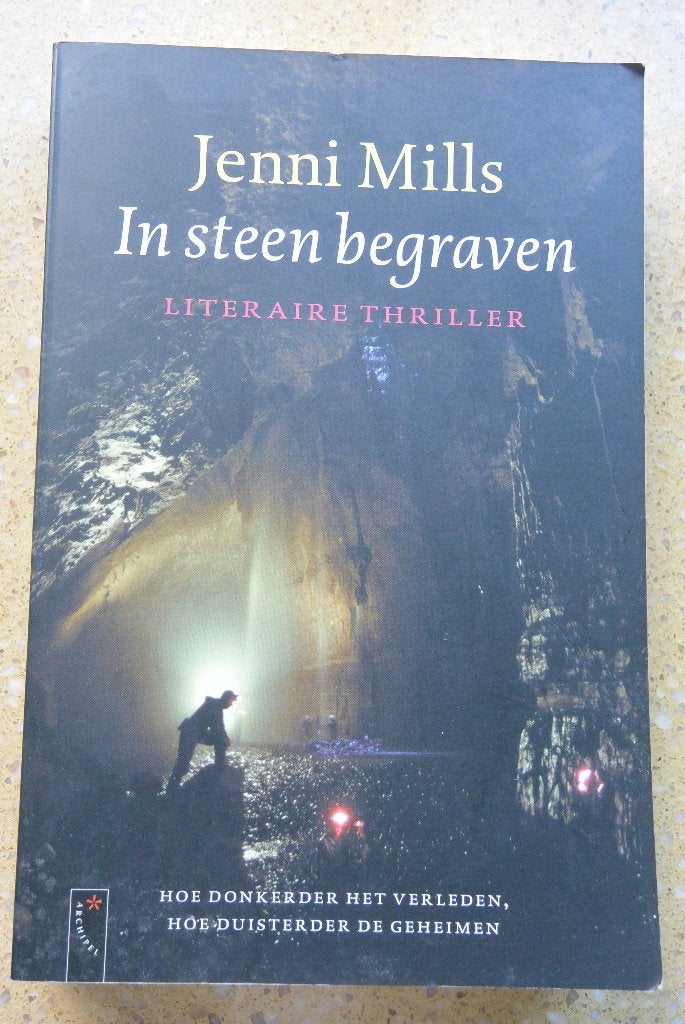 In steen begraven - Jenni Mills - Thriller, Gelezen, Wereld overig, Ophalen of Verzenden, Jenni Mills