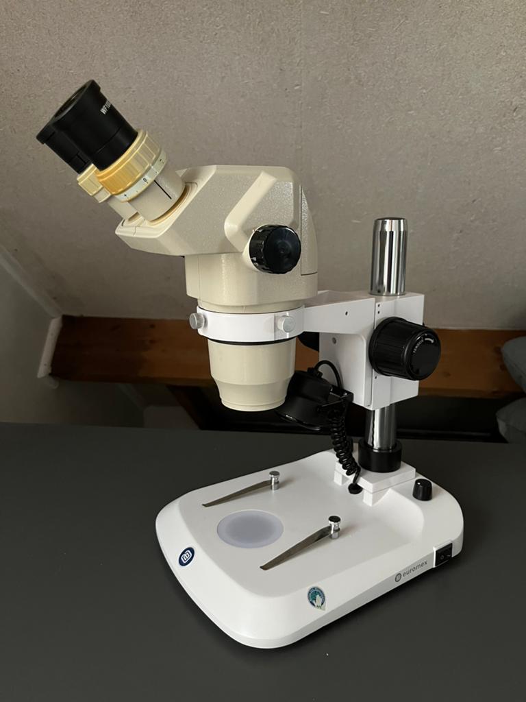 Olympus stereo, Audio, Tv en Foto, Optische apparatuur | Microscopen, Ophalen, Zo goed als nieuw, Minder dan 400x, Stereomicroscoop