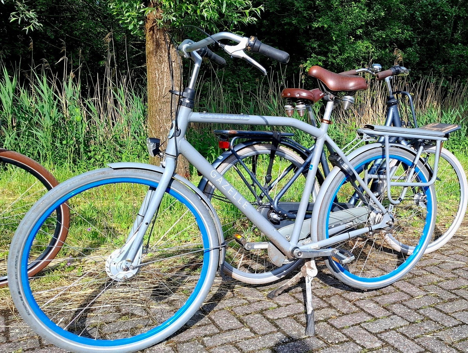 Gazelle heavy duty herenfiets, Ophalen, Gebruikt, Gazelle, Versnellingen