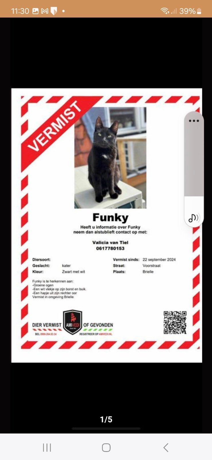 FUNKY VERMIST BRIELLE ZH